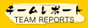 team reports