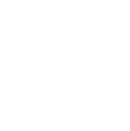 ポーランドポスター'50-'60展