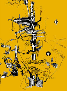 サンダンス・フィルム・フェスティバルの公式ポスター1