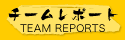 team reports